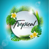 Tropical Paradise